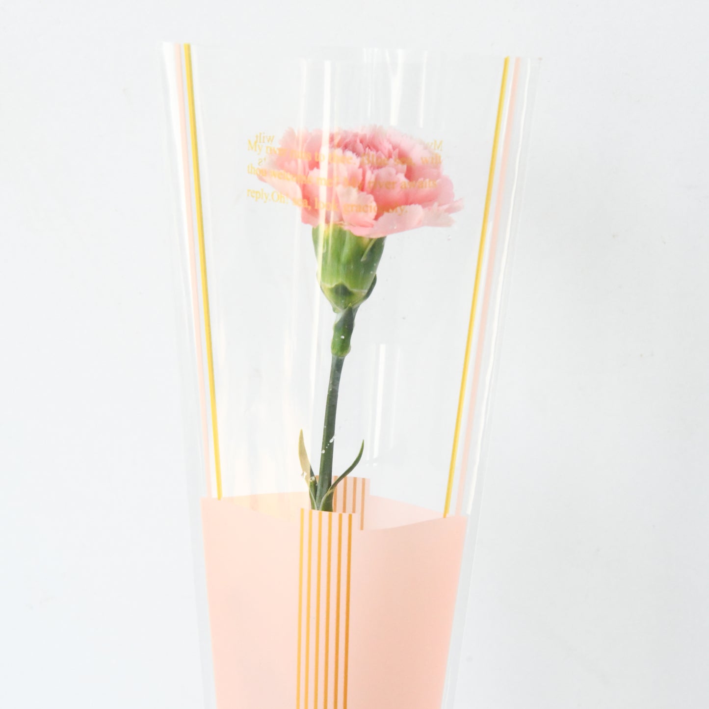 Happy Mom's Day | One stalk Pink Carnation Flower | $8.80 Nett ( ONLY available 9 and 10 MAY)