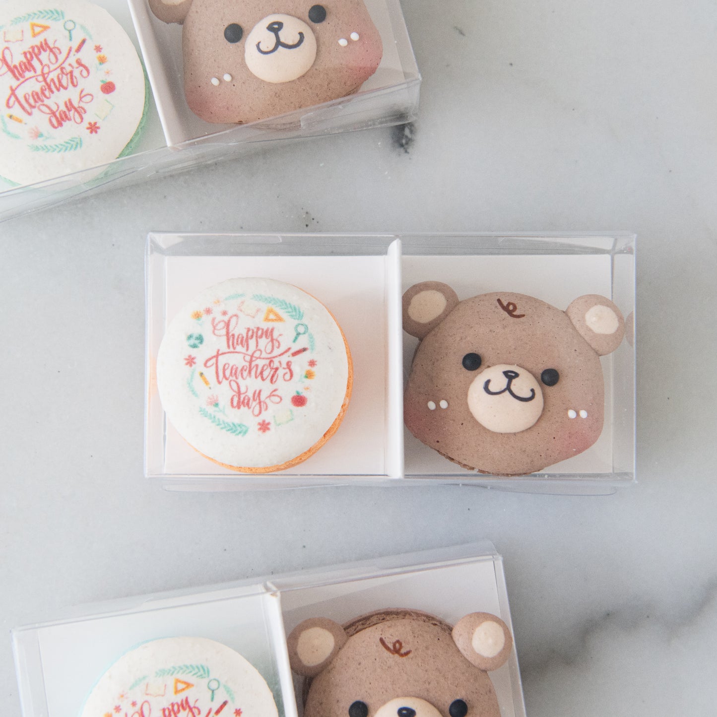Happy Teacher's Day | 2in1 Male Bear Macaron | $8.80 Nett Only