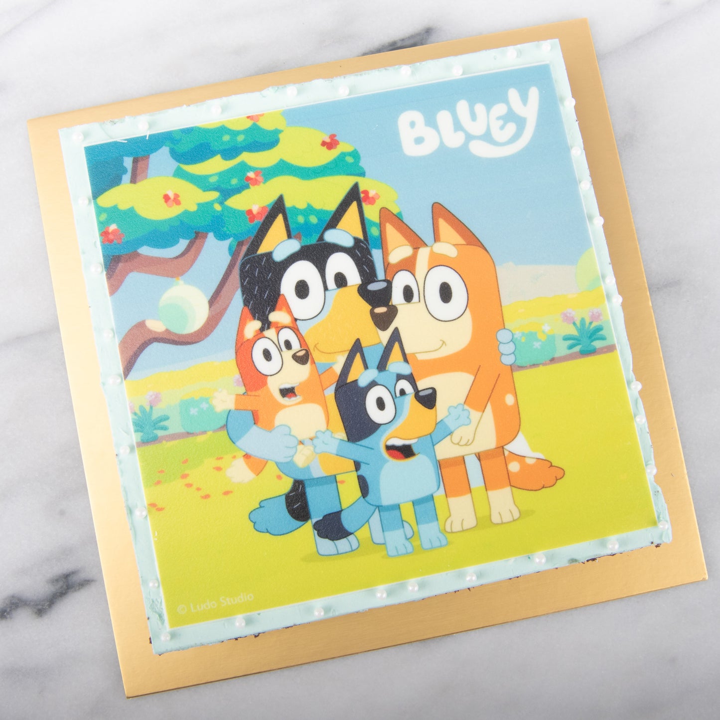 Bluey Fudgy Big Brownie 18x18cm | (U.P $65.80)