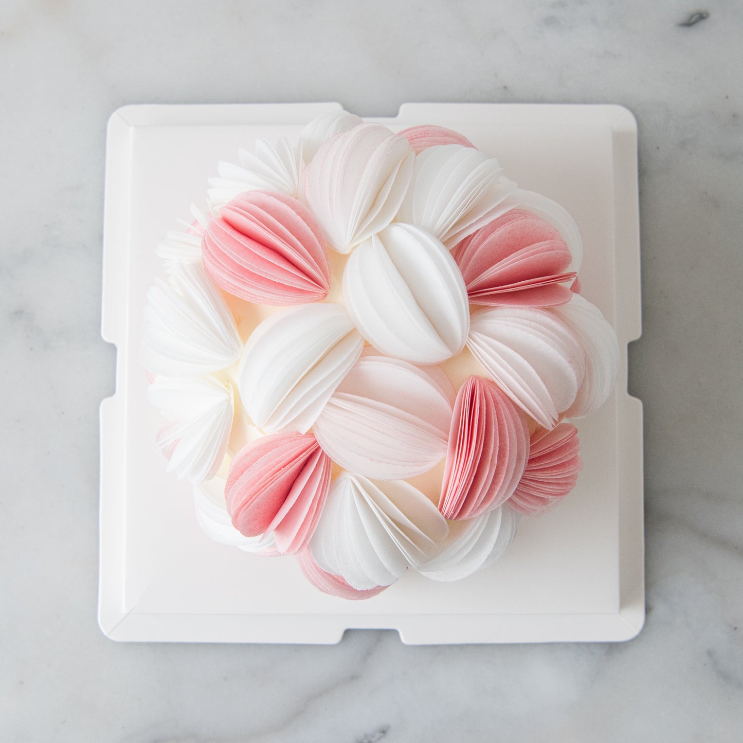 Customized Cake- Blush Petal Bloom Cake 🌸