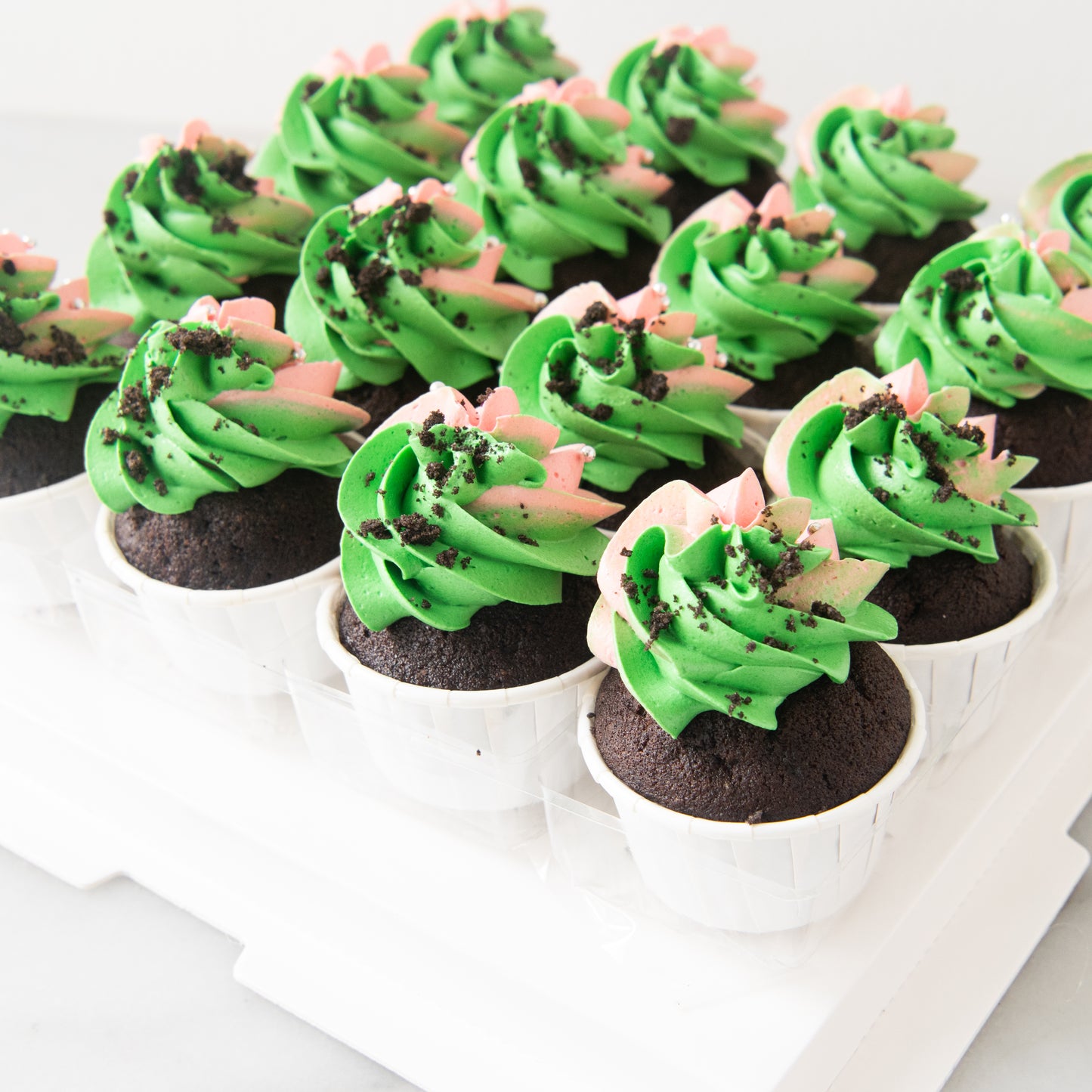 *New*Pink & Green Swirl Mini Cupcakes 16 pcs Set | ($51.80 Nett)