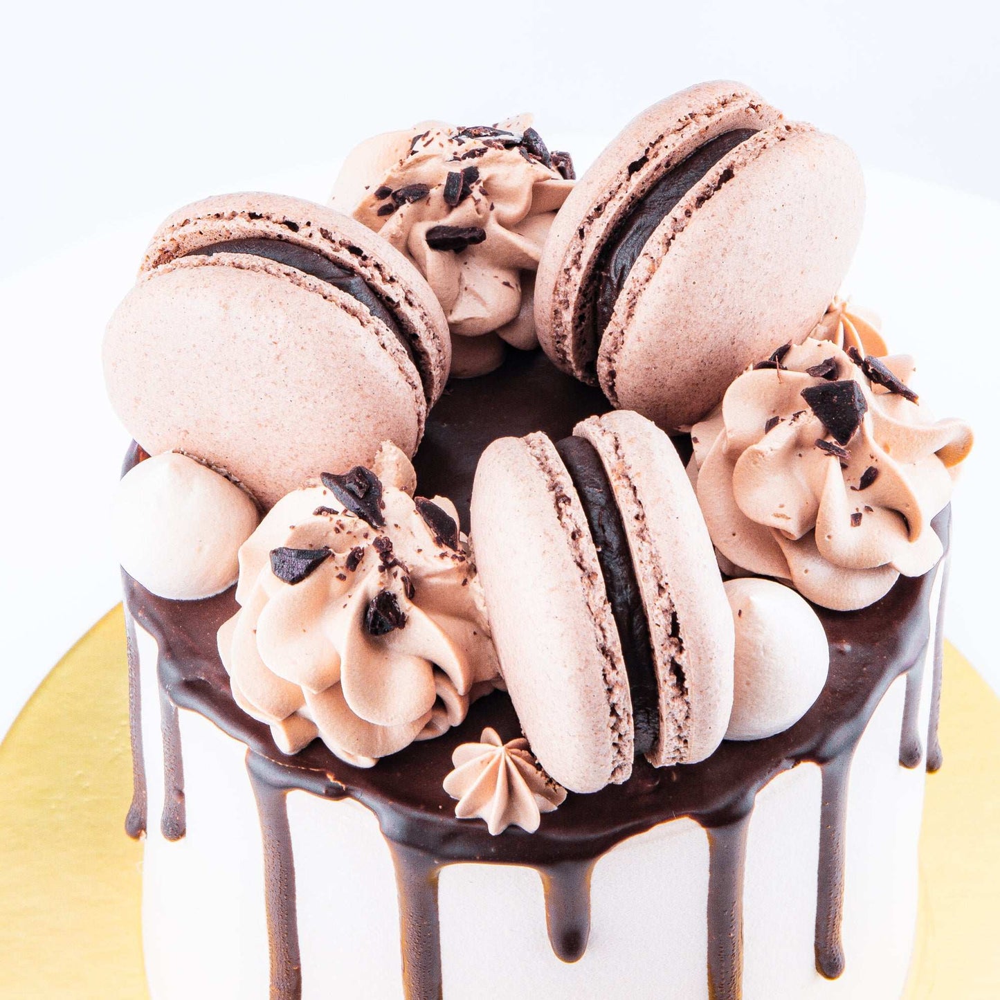 Bundle Set | Chocolate Truffle Cake Petite + 6pcs C1 Macarons | $39.90 Nett