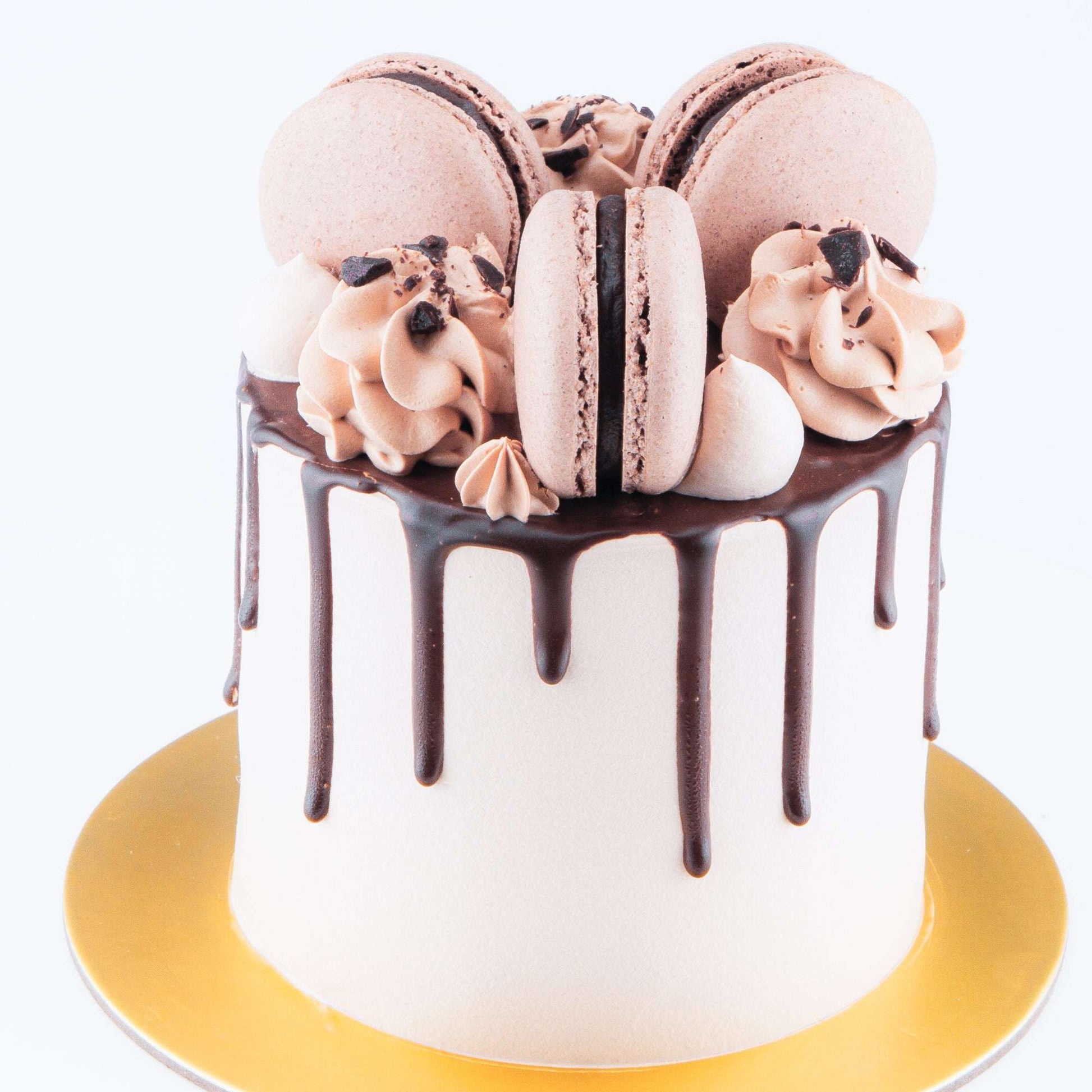 Bundle Set | Chocolate Truffle Cake Petite + 6pcs C1 Macarons | $39.90 Nett