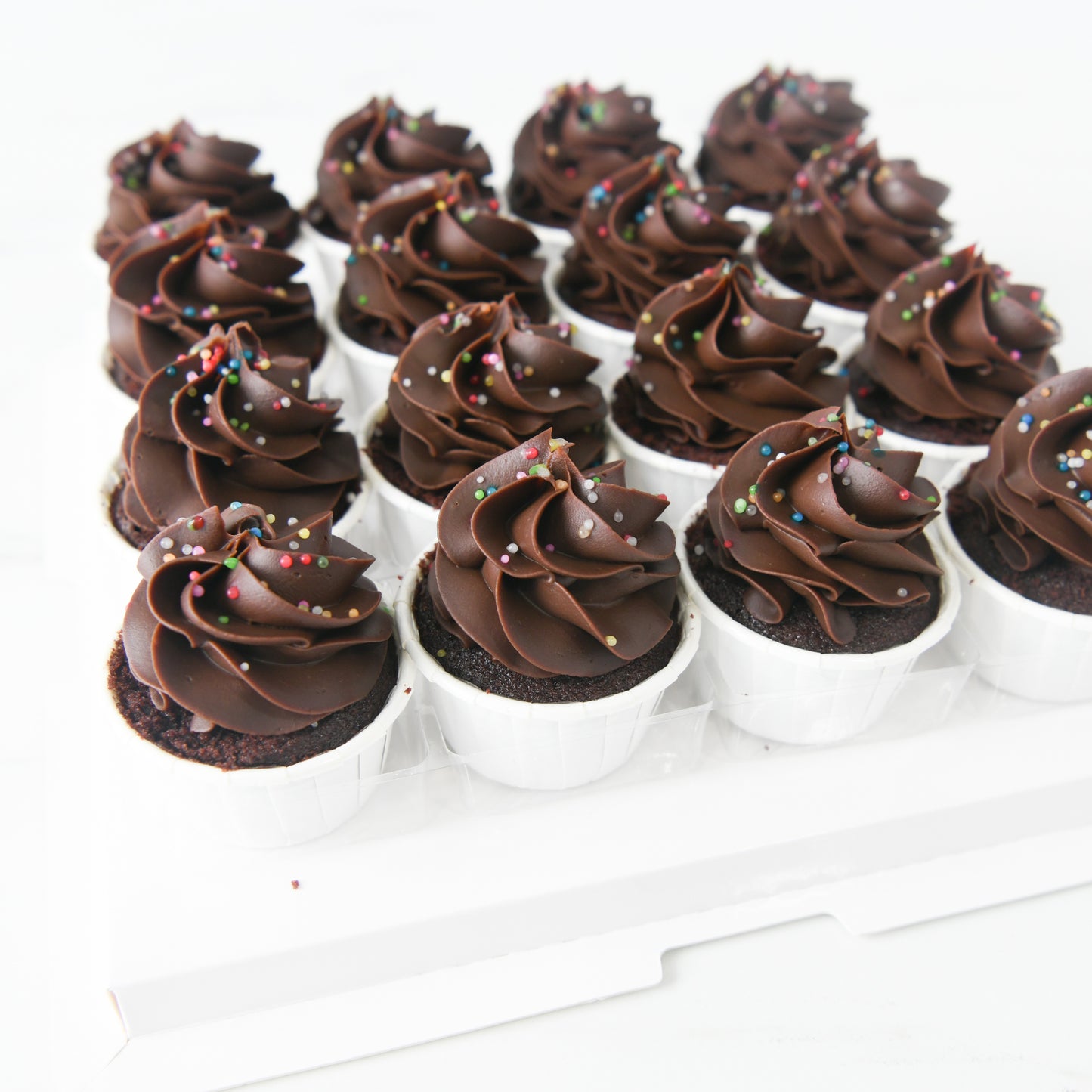 Chocolate Mini Cupcakes 16 pcs Set |(U.P $68.80)