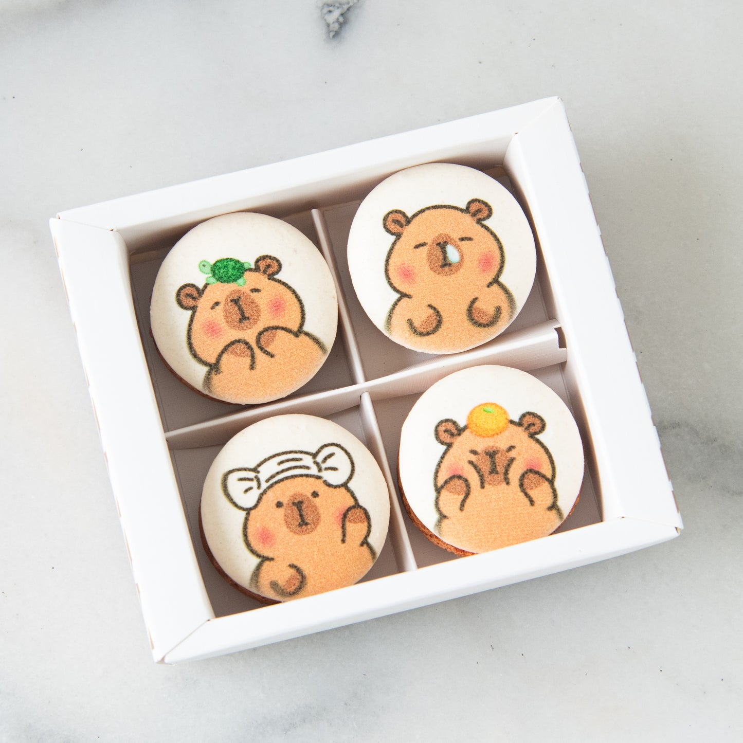 4in1 Printed Capybara Macaron In Gift Box | (U.P $25.60)