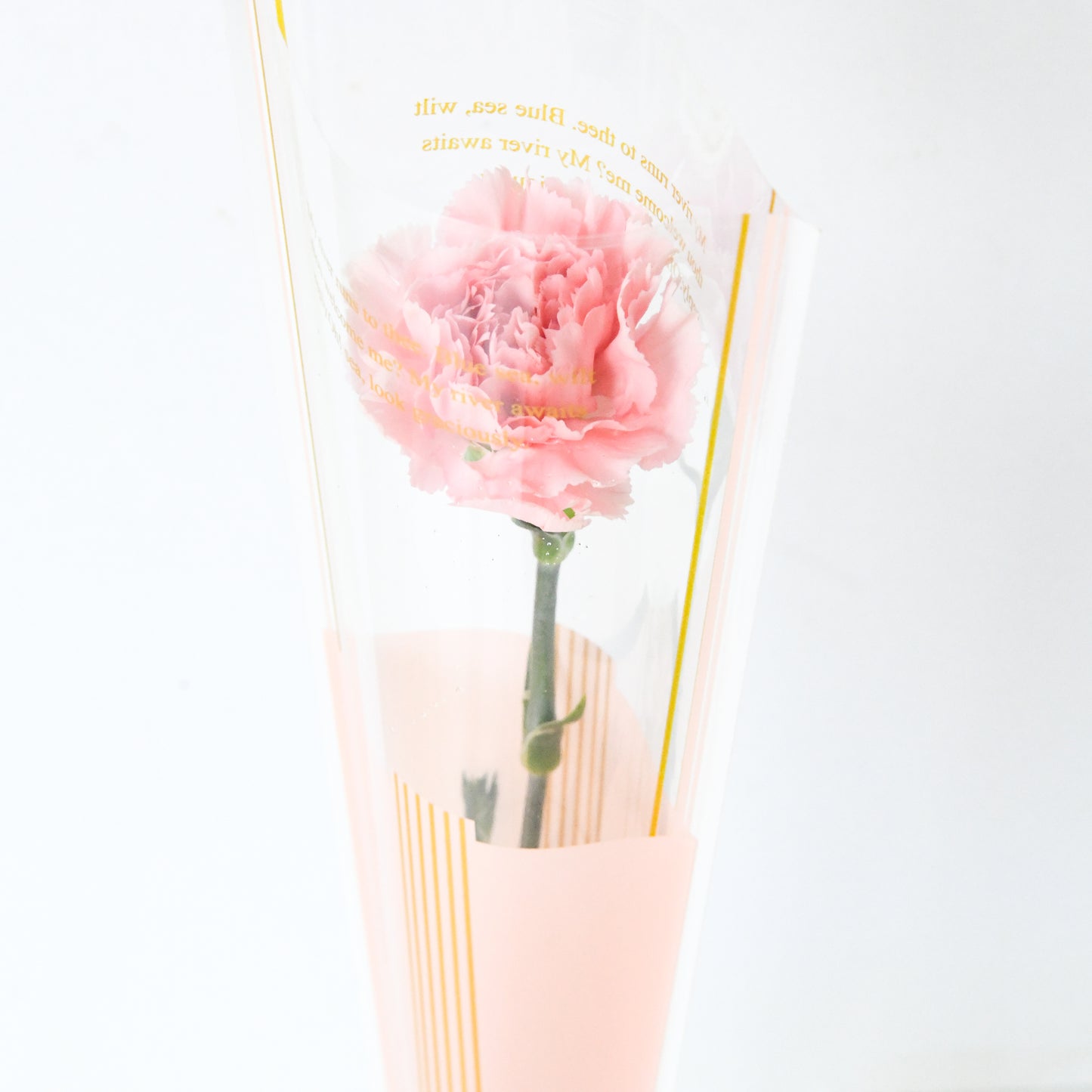 Happy Mom's Day | One stalk Pink Carnation Flower |  $8.80 Nett ( ONLY available 9 and 10 MAY)