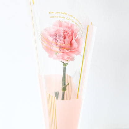 Happy Mom's Day | One stalk Pink Carnation Flower |  $8.80 Nett ( ONLY available 9 and 10 MAY)