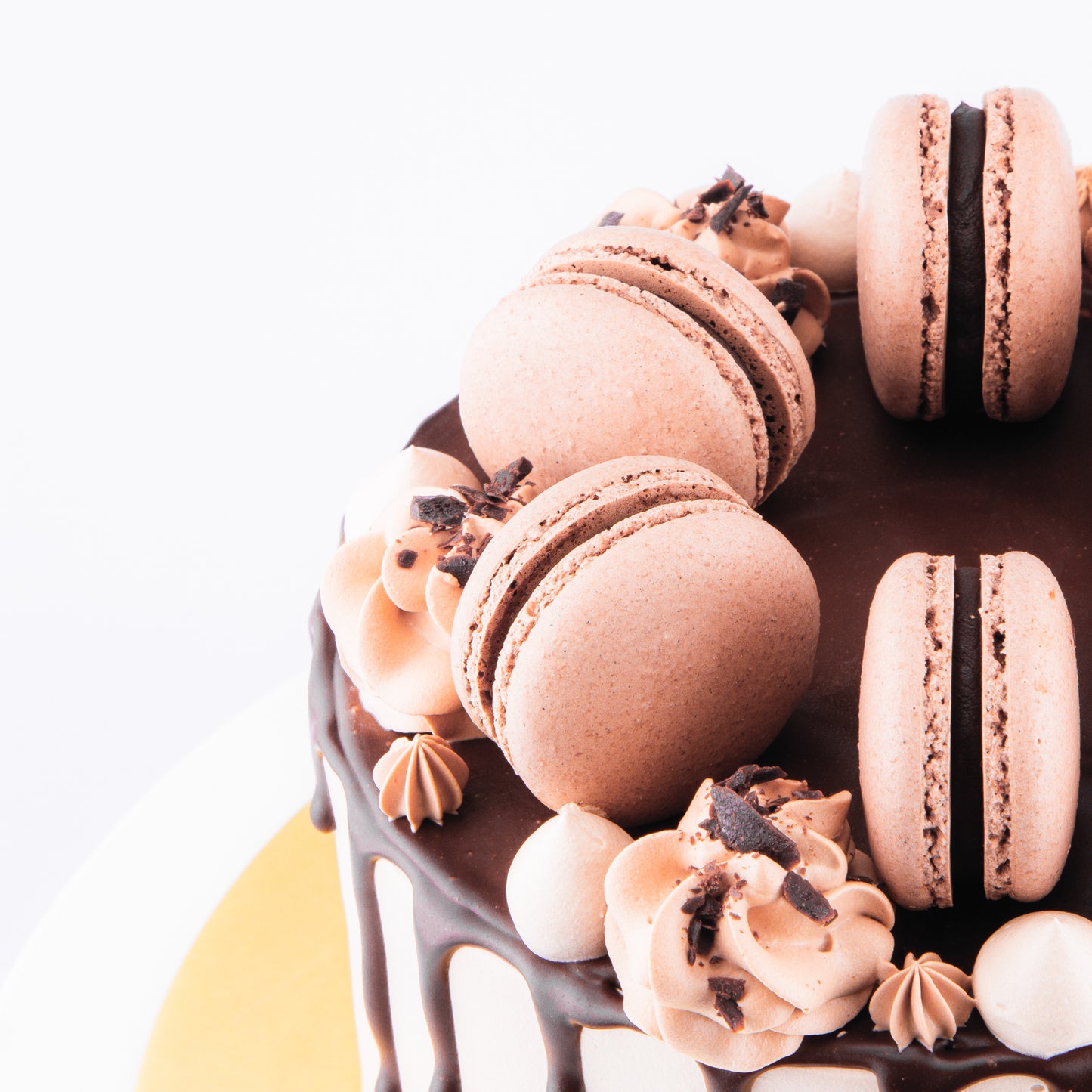 Chocolate Truffle Cake Upsize (Including  6 pcs macarons) |U.P $80.00